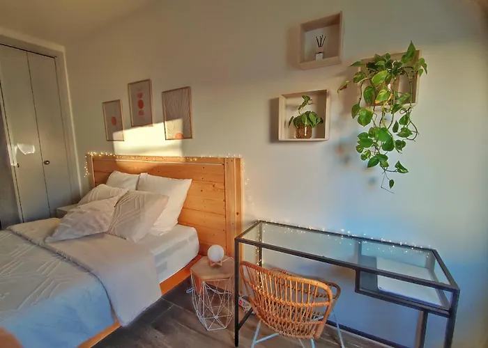 בית אירוח A 3 Min De La Promenade Des A Pieds 200m ניס